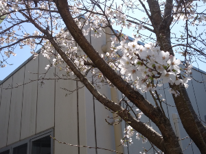 画像の説明 画像の説明